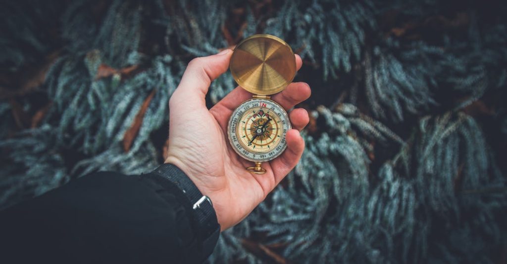 Person Holding Compass